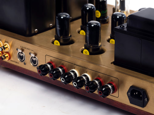ARTAG SIGNATURE 6V6PP