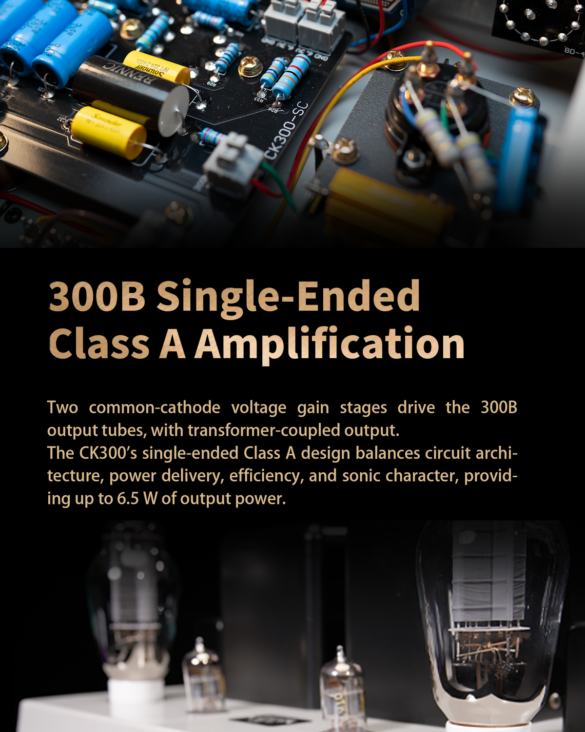 CK300 — 9