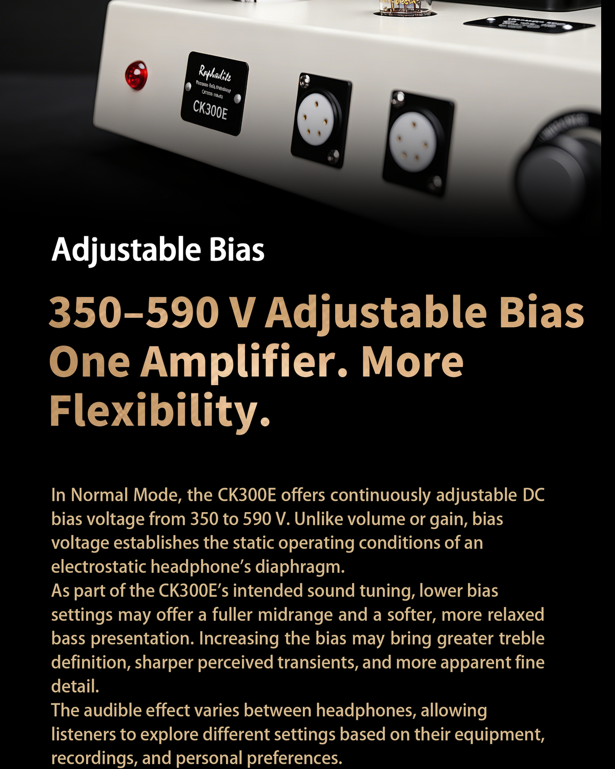 CK300E — 13